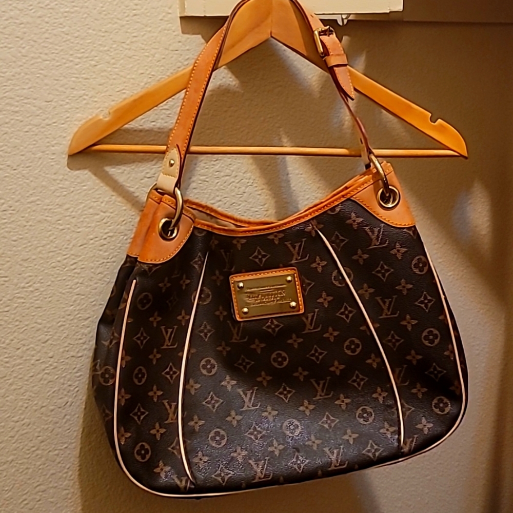 Authentic Louis Vuitton purse